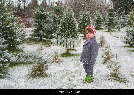 Boy standing in snow in tree farm Stock Photo