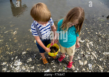 Boy and girl on beach carrying bucket of clams