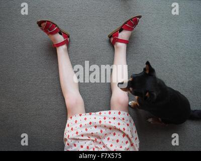 Chihuahua dog sitting next to a girl lying on floor Stock Photo