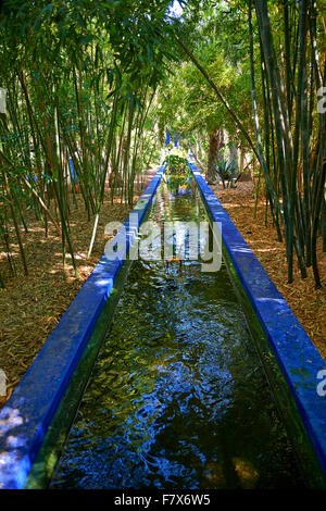 The Majorelle Garden botanical garden designed by French artist Jacques Majorelle in the 1920s and 1930s, Marrakech, Morocco Stock Photo