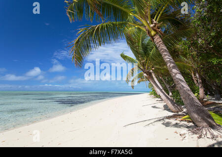 Leleuvia Island, Lomaiviti Islands, Fiji Stock Photo