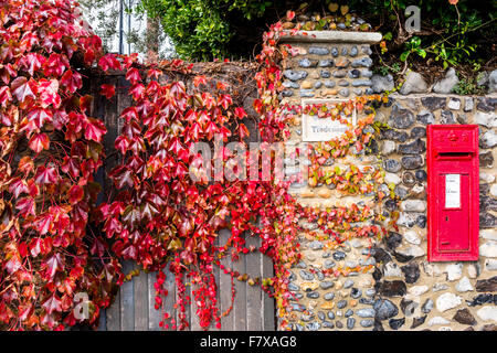 Autumn colours. Stock Photo