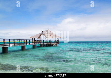 Jetty on Leleuvia Island, Lomaiviti Islands, Fiji Stock Photo