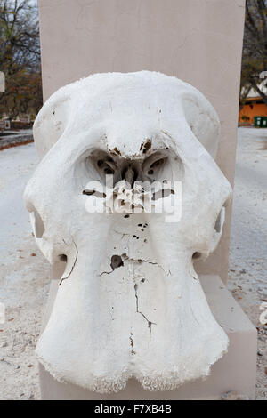 Elephant Skull in gate to camp site in etosha national park Stock Photo