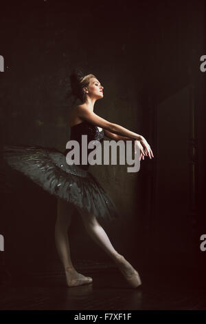 Bolshoi Ballet brings its famed 'Swan Lake' to SoCal – Orange County  Register