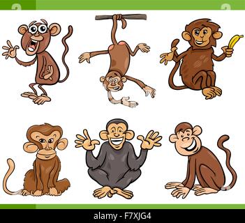 Monkeys collection. Cartoon ape characters in different poses, species ...