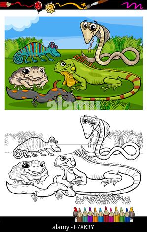 reptiles and amphibians coloring book Stock Vector