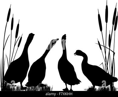 Gooses  silhouettes Stock Vector
