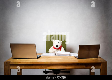 Image of business bear in his office Stock Photo