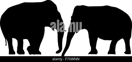 Elephants in love Stock Vector