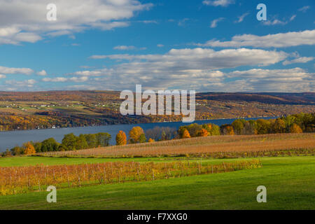 Late fall at Glenora Vineyards on Seneca Lake in the Finger Lakes Region of New York State Stock Photo