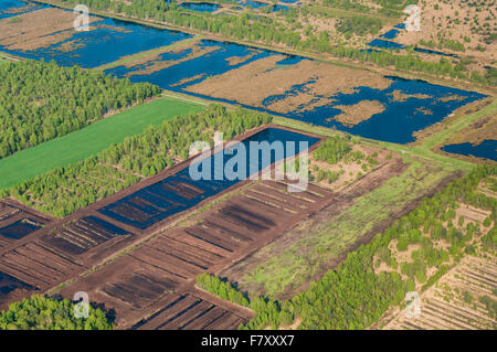 renaturation at steinfelder moor, vechta district, niedersachsen, germany Stock Photo