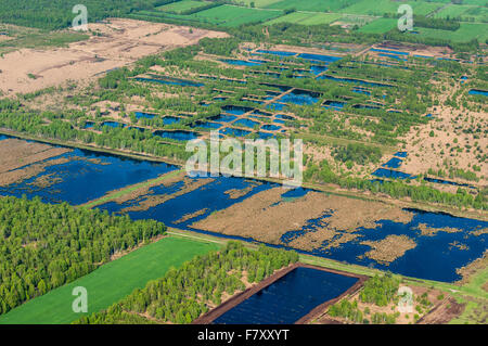 renaturation at steinfelder moor, vechta district, niedersachsen, germany Stock Photo