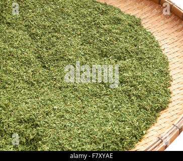 abstract texture of the dried crushed tea leaves of natural color Stock Photo