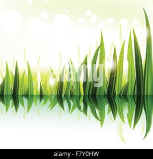 Green grass vector design Stock Vector