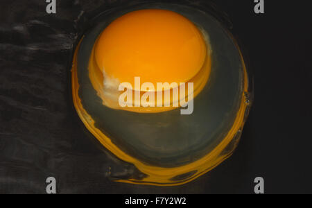 Raw egg of yolk and egg white on black background Stock Photo