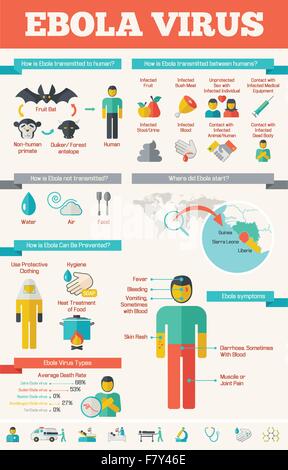 Medical Infographic Template. Stock Vector