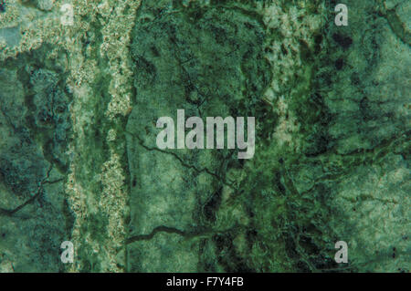 Green Marble Granite Stone slab surface Stock Photo