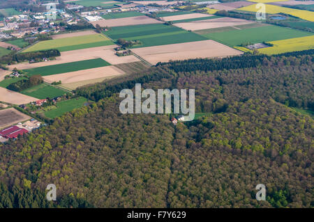 herrenholz from above, vechta district, niedersachsen, germany