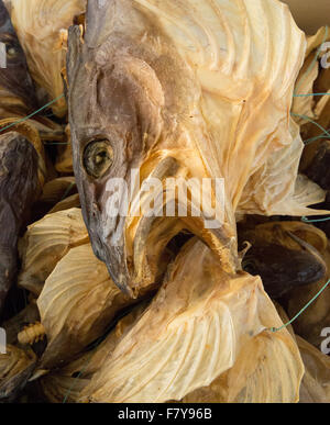 Dried cod heads in the stockfish museum in the village of A in the Lofoten Islands of Norway Stock Photo