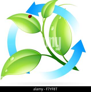Fresh Green Leaves Icon Stock Vector