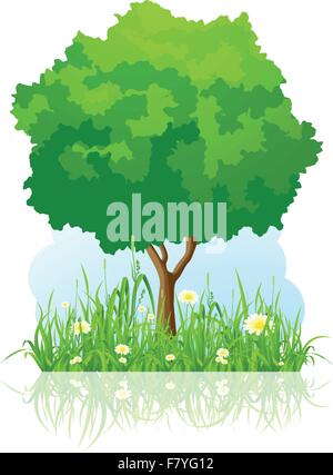 Nature background with green grass and tree vector Stock Vector Image ...