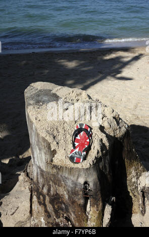 A single sandal with a GB UK Union Jack Flag design found resting on a sand covered tree stump on the beach in Pattaya Thailand Stock Photo