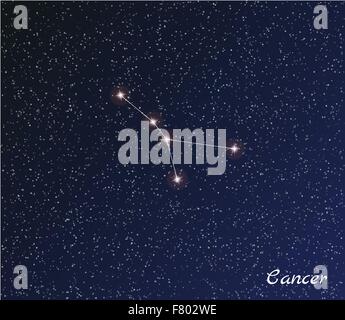 constellation cancer Stock Vector