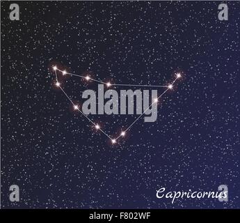 constellation capricornus Stock Vector