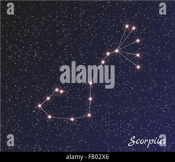 constellation scorpius Stock Vector