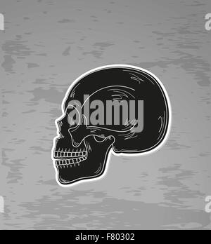 Human skull isolated on white background Stock Vector Image & Art - Alamy