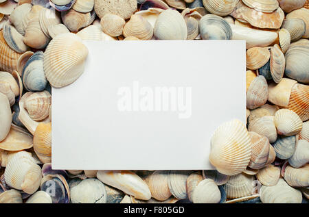 blank sheet of paper on sea Shell background Stock Photo