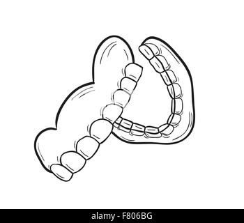 sketch of the denture Stock Vector