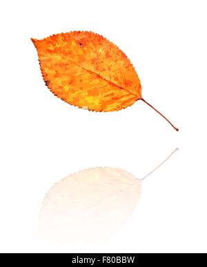 Dry autumn leaf Stock Vector Image & Art - Alamy