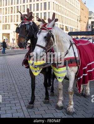 Pariser Platz, Berlin, Germany, 3rd December, 2015. A Christmas tree on Pariser Platz and horses wearing reindeer antlers declare that the festive season has arrived but the display of flowers and candles in front of the French Embassy provides a grim reminder of the recent tragic events in Paris. Credit:  Eden Breitz/Alamy Live News Stock Photo