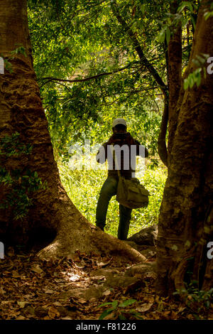 photographer taking photos in the woods Stock Photo