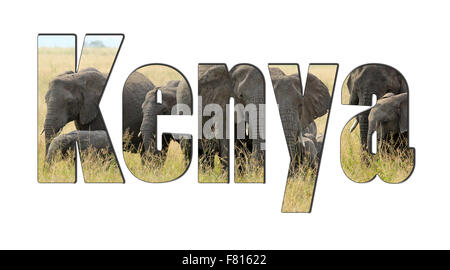 A herd of african elephants behind the word Kenya isolated on a white background. Elephants are one of the symbols of the africa Stock Photo