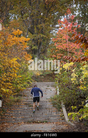 Jogger runs up a strairway to higher elevation in Prospect Park, Brooklyn, NY. Stock Photo