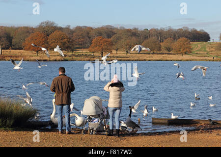 Pen Ponds, Richmond Park, London, UK. 4th December 2015.  Feeding the birds at the Pen Ponds on a bright and breezy day in Richmond Park, surrounded by the beautiful colours of autumn. Credit:  Julia Gavin UK/Alamy Live News Stock Photo