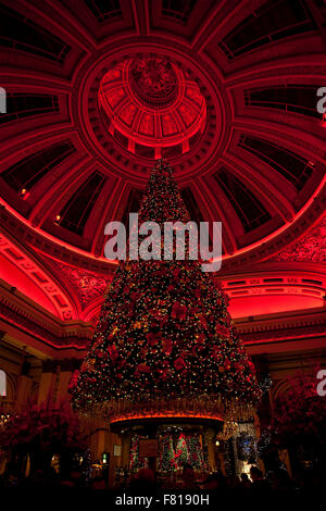 Christmas tree at The Dome on George Street in Edinburgh, Scotland. Stock Photo