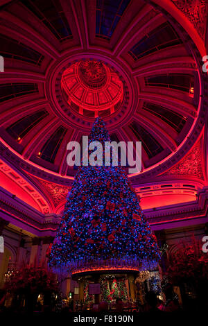 Christmas tree at The Dome on George Street in Edinburgh, Scotland. Stock Photo