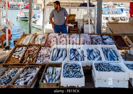 Fresh Fish For Sale, The Marina, Bodrum, Mugla Province, Turkey Stock Photo