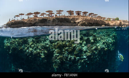 Amphoras Hotel reef  Sharm el Sheik Red Sea, Egypt Stock Photo