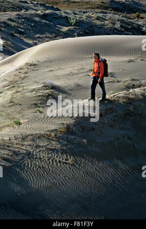 Hiker walking cross country through Juniper Dunes Wilderness area heading north towards the larger dunes near Pasco. Stock Photo