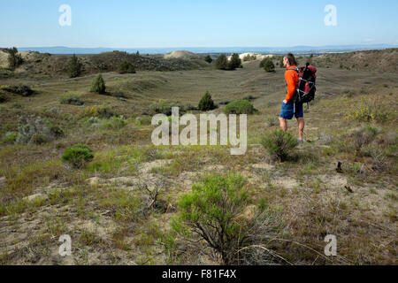 WASHINGTON - Hiker heading cross-country, exploring the trailless Juniper Dunes Wilderness area located north of the Tri-Cities. Stock Photo