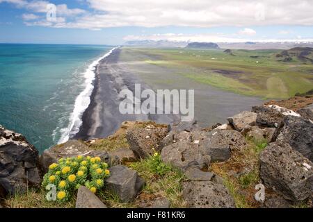 View over Reynisfjara black sand beach from Dyrholaey, Iceland Stock Photo