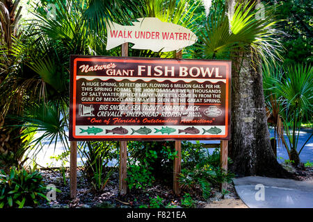 Advertising signs for Natures giant Fish Bowl at Homosassa Springs in Florida Stock Photo