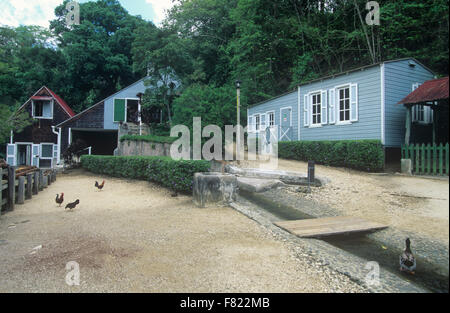 Hacienda Buena vista is a restored 1833 coffee plantation and farm Stock Photo: 91017489 - Alamy