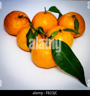 Clementines with their leaves arranged in a triangular shape on a white, vignetted background Stock Photo