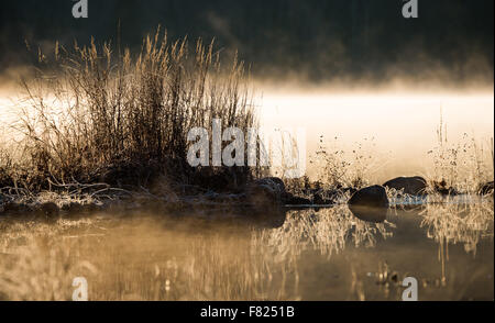 Sunlight glowing on frost coated rocks and grass at water's edge.  chilled by overnight November air. Stock Photo